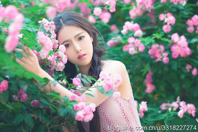 最美大学校花榜 t0141cf8bf5ee5ecf8e.jpg?size=690x460