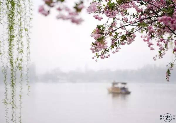 道是无晴却有晴,刘禹锡经典诗词18首