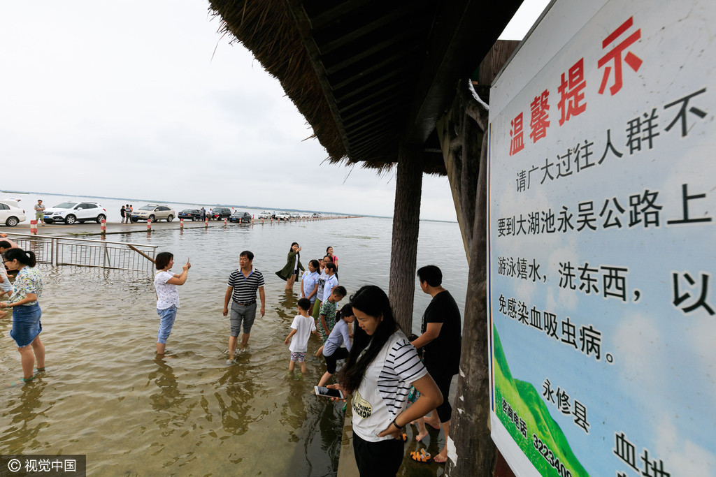 江西九江最美水上公路实为血吸虫区