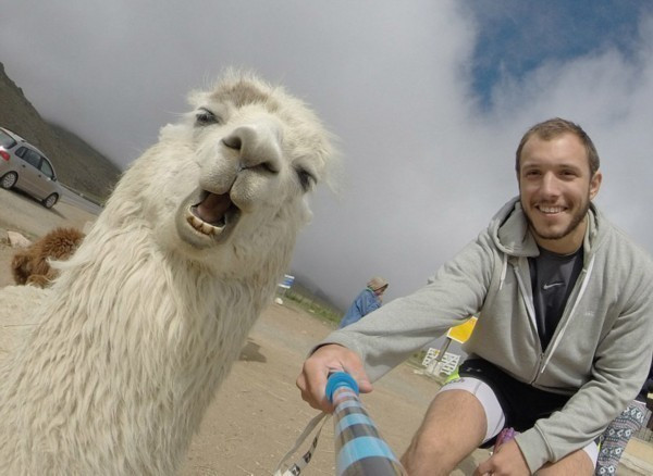 动物抢镜高手如云 完胜娱乐圈心机婊